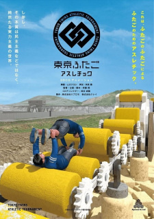 постер к аниме Спортивный турнир токийских близнецов